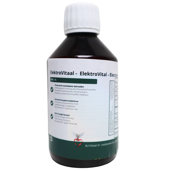 ElectroVitaal